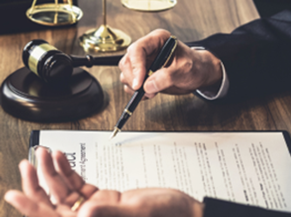 INS seguro obligatorio automotor